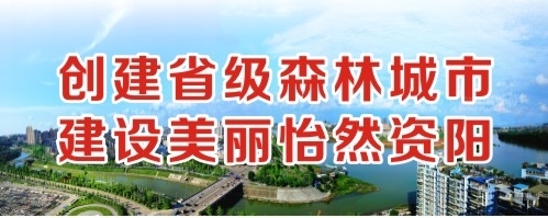 鸡腿大阴蒂欧美创建省级森林城市 建设美丽怡然资阳